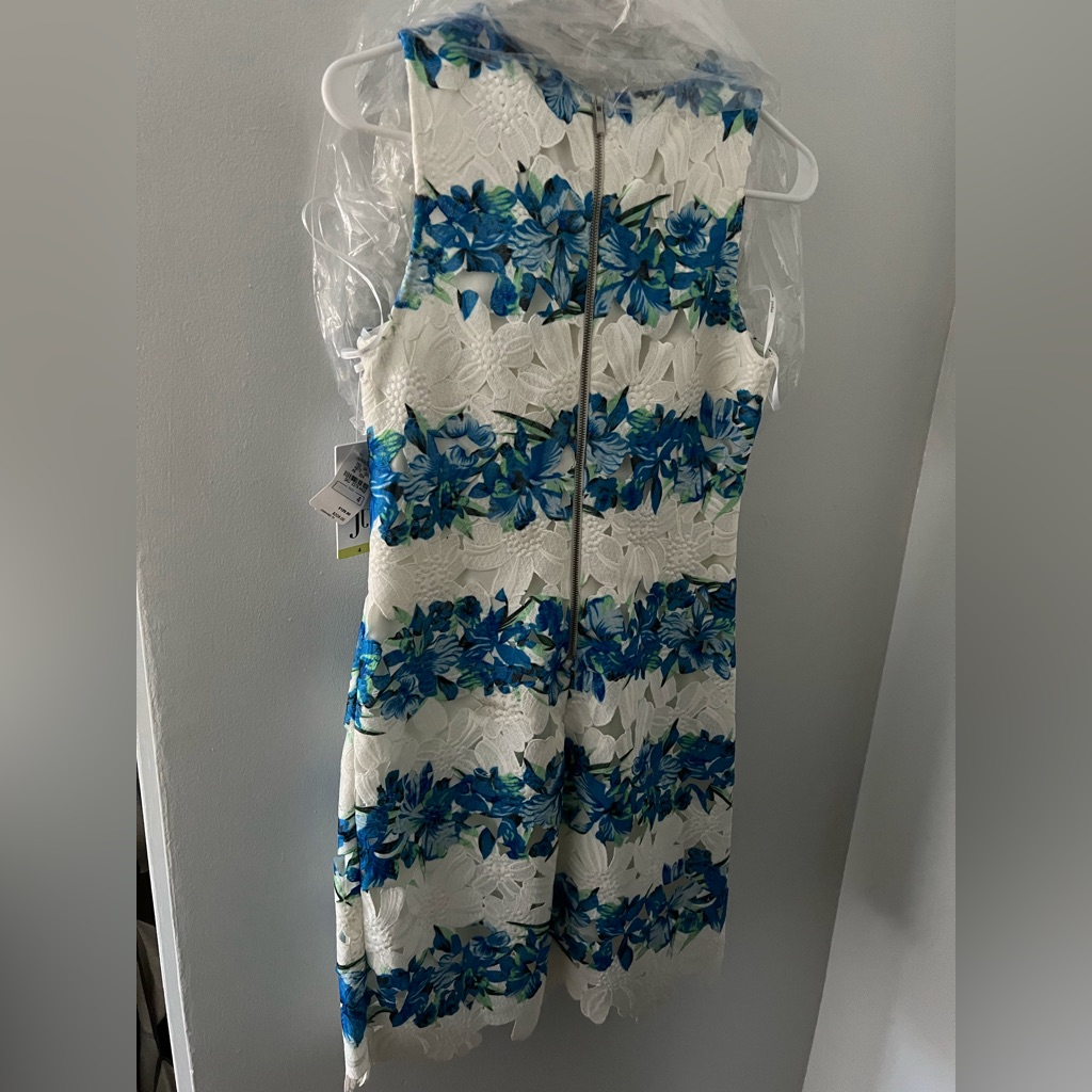 Blue And White Floral Mini Dress